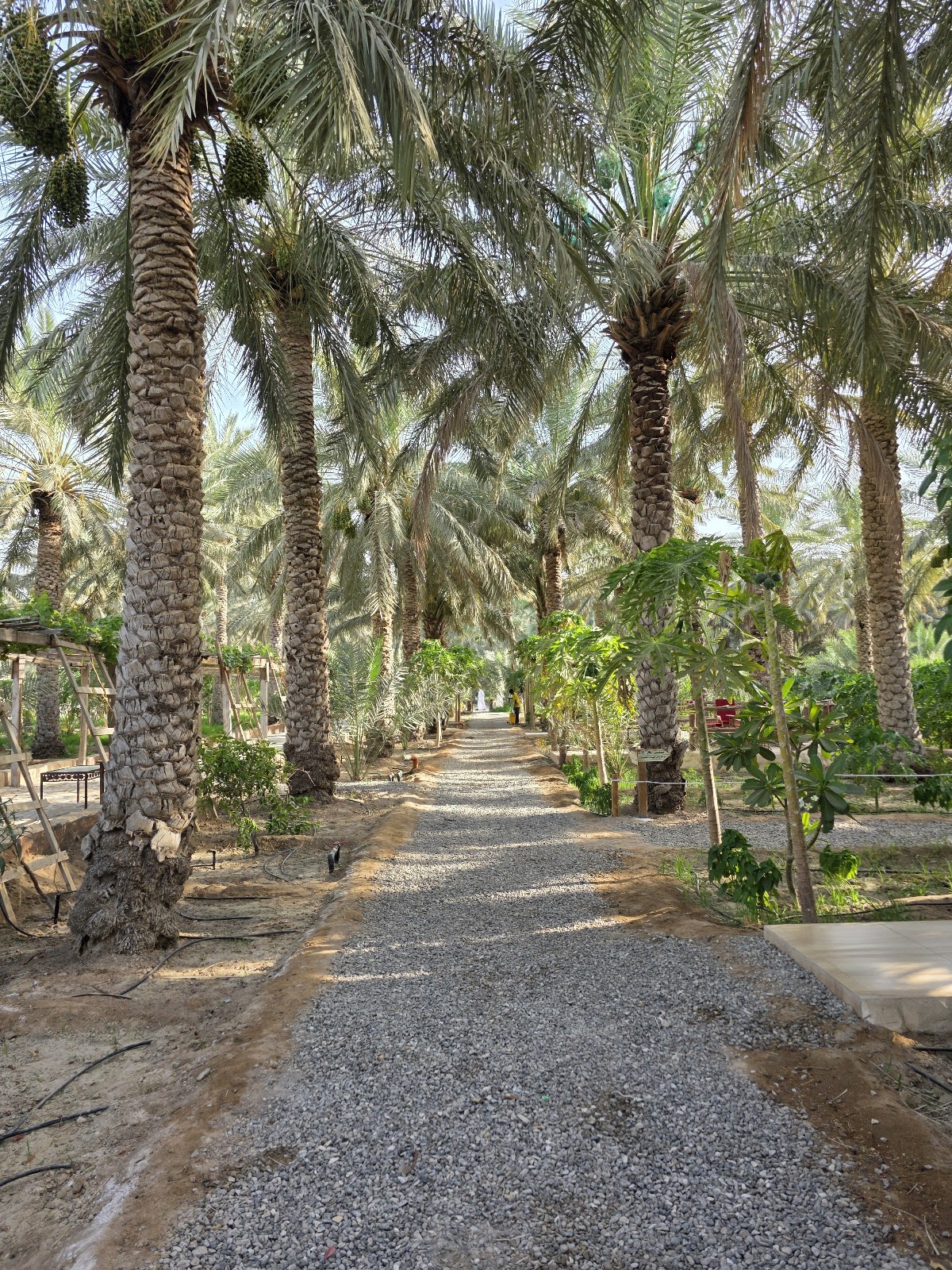 مزرعة السعادة 2