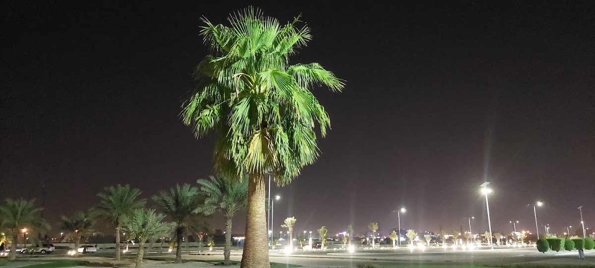 ممشى ولاية البريمي 2