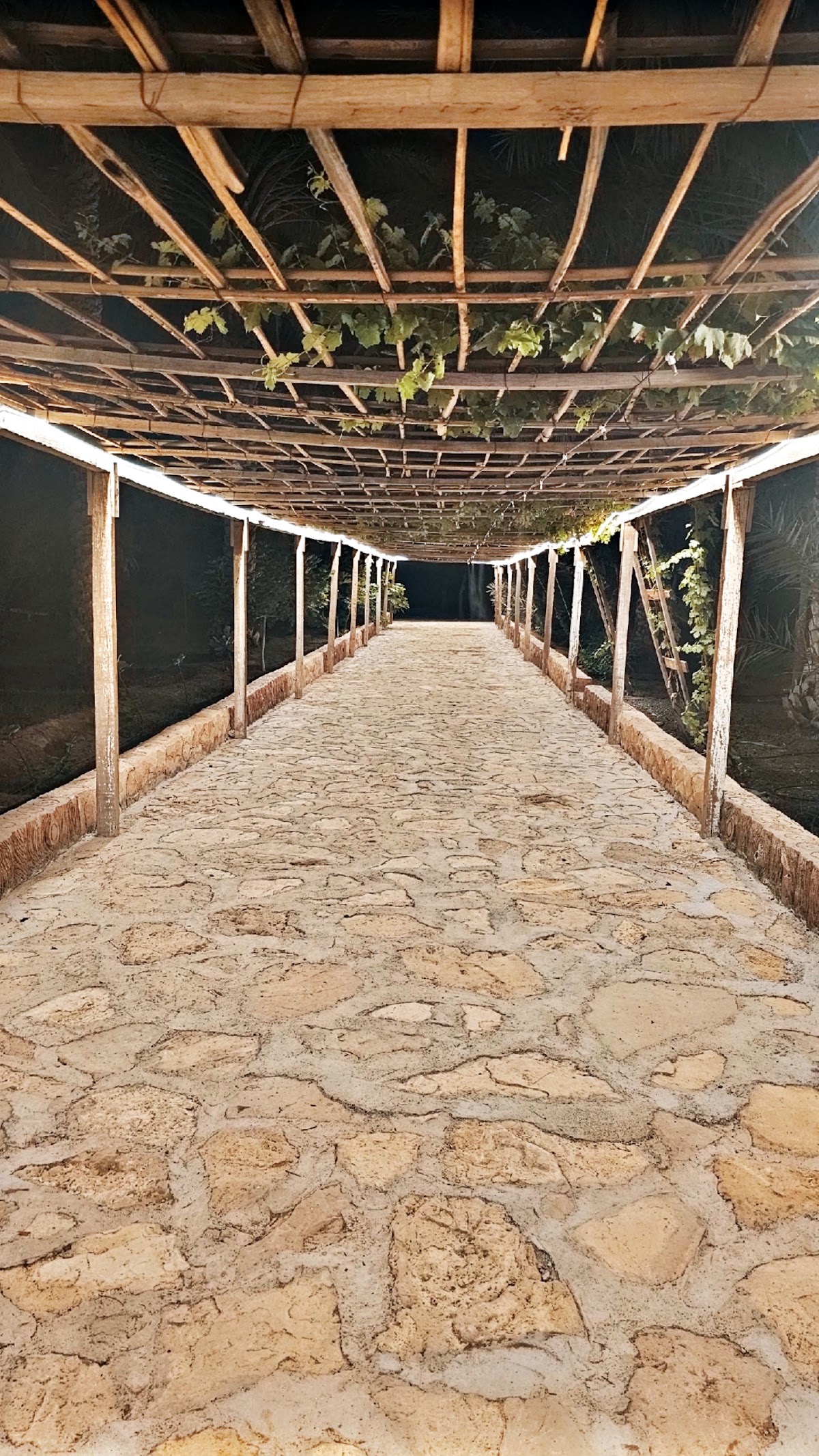مزرعة السعادة 3