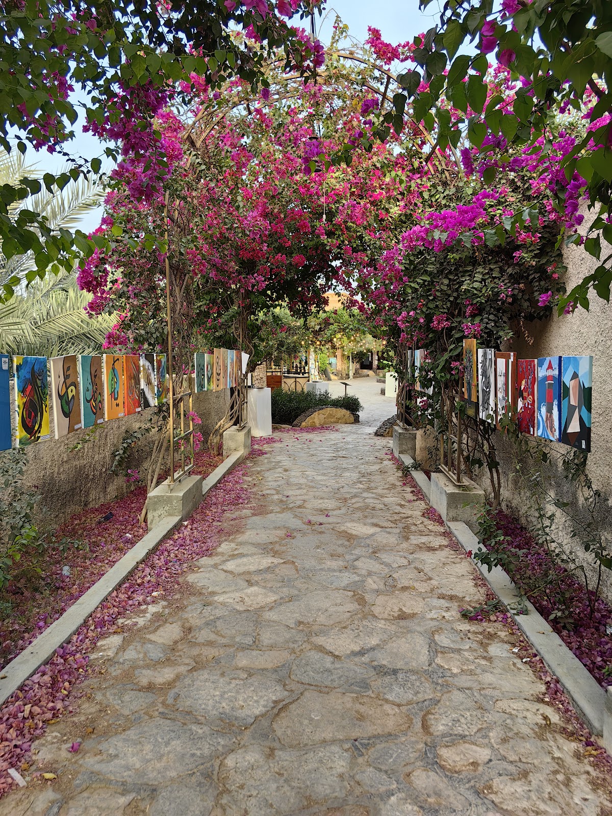 واحة صعراء 5